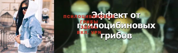 крисы Гатчина