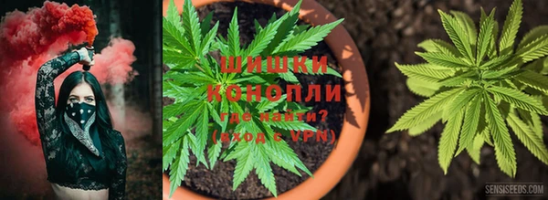прущие крисы Покровск
